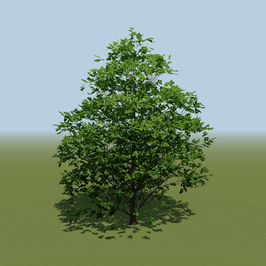 Procedurally grown linden with foliage