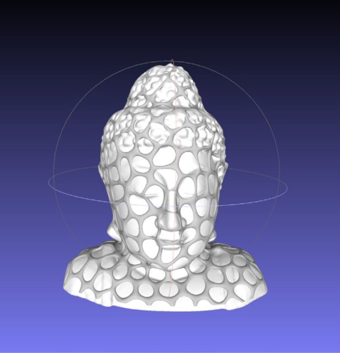 Digital reconstruction of a human head. Circular shapes overlay the figure over a blue background.