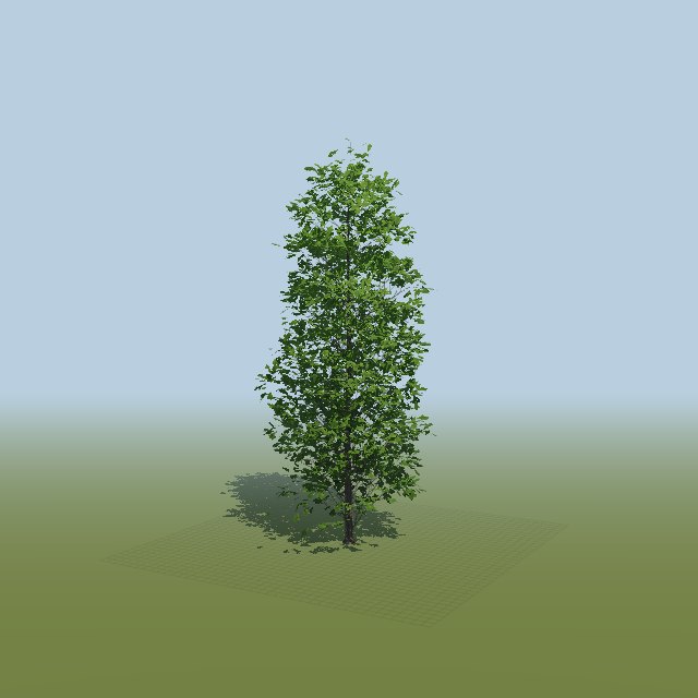 Narrow crown grown with lambda 0.56