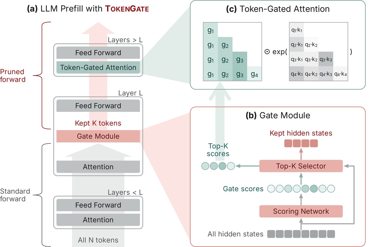 Figure 1: prefill with TokenGate, the gate module, and token-gated attention