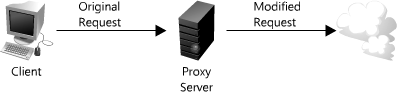 Figure 1.13: Proxy server