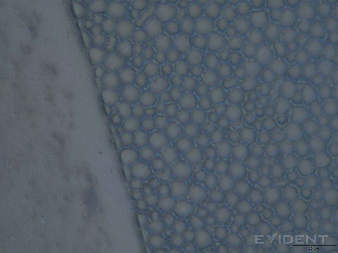 Nanotexture closeup at the edge of camera cutout